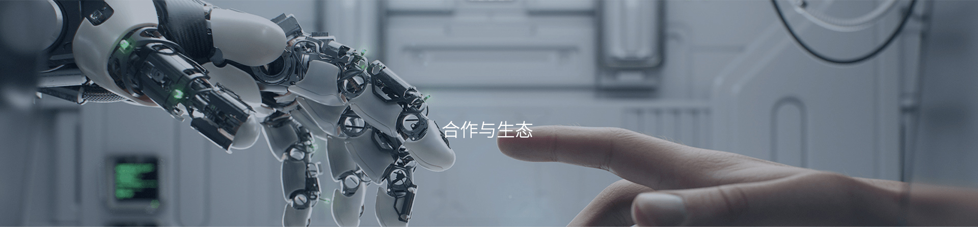 伙伴体系